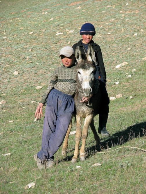 Памиро - Алай - это не только Пик Ленина. (Путешествия)