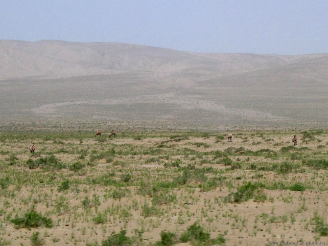 Дорога. Москва - Кашгар - Каракорум. (Альпинизм, каргалык, илик, мазар, китайский каракорум, маи)