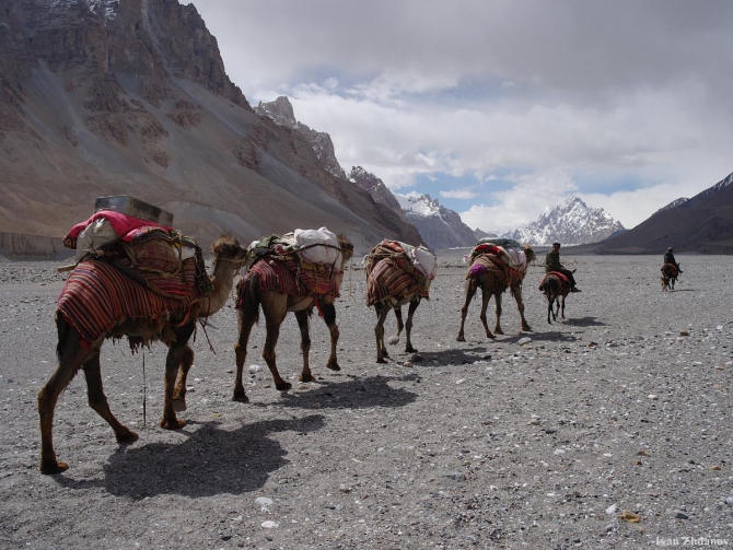 Караван. Илик - ледник Гашербрум ( Gasherbrum Glacier ). (Альпинизм, маи, каракорум, китайский каракорум, шаксгам)