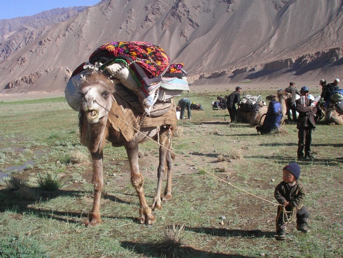 Караван. Илик - ледник Гашербрум ( Gasherbrum Glacier ). (Альпинизм, маи, каракорум, китайский каракорум, шаксгам)
