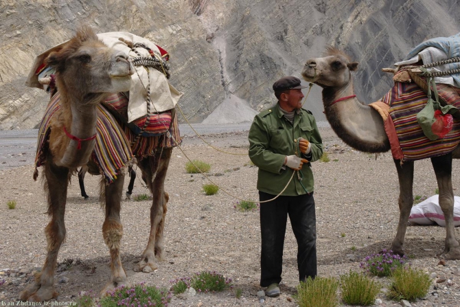 Караван. Илик - ледник Гашербрум ( Gasherbrum Glacier ). (Альпинизм, маи, каракорум, китайский каракорум, шаксгам)