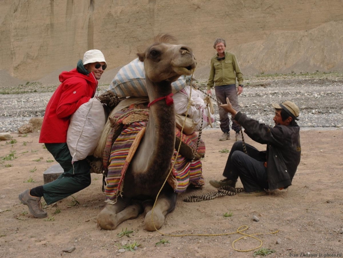 Караван. Илик - ледник Гашербрум ( Gasherbrum Glacier ). (Альпинизм, маи, каракорум, китайский каракорум, шаксгам)