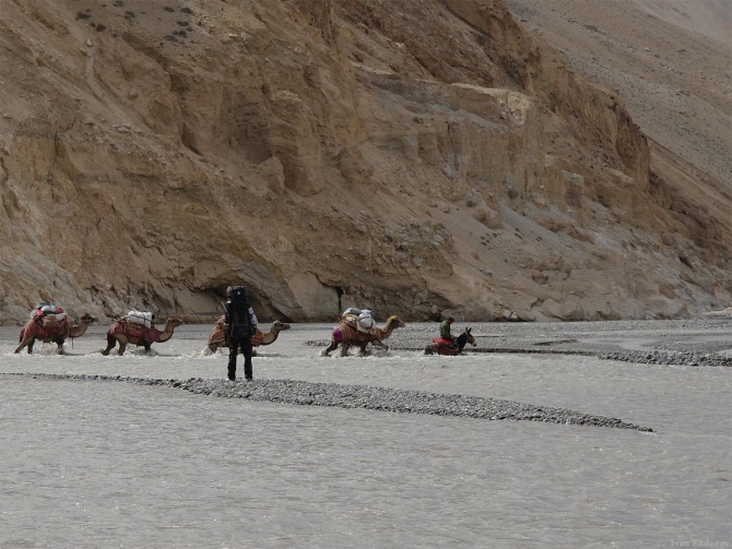 Караван. Илик - ледник Гашербрум ( Gasherbrum Glacier ). (Альпинизм, маи, каракорум, китайский каракорум, шаксгам)