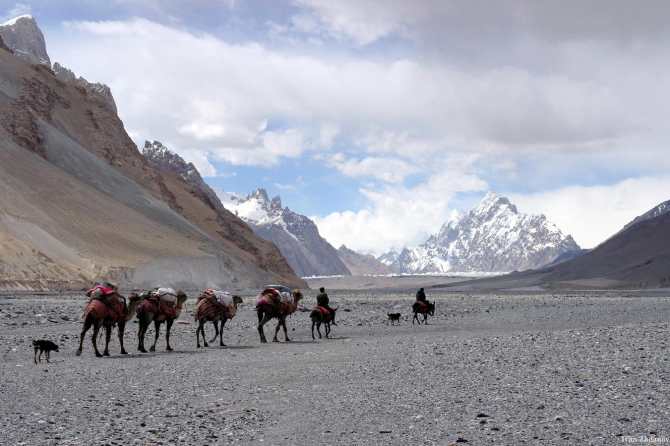 Караван. Илик - ледник Гашербрум ( Gasherbrum Glacier ). (Альпинизм, маи, каракорум, китайский каракорум, шаксгам)