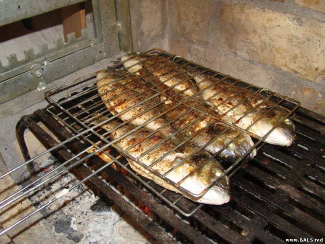 Греция, отчет о кайтинге и цены (Воздух)