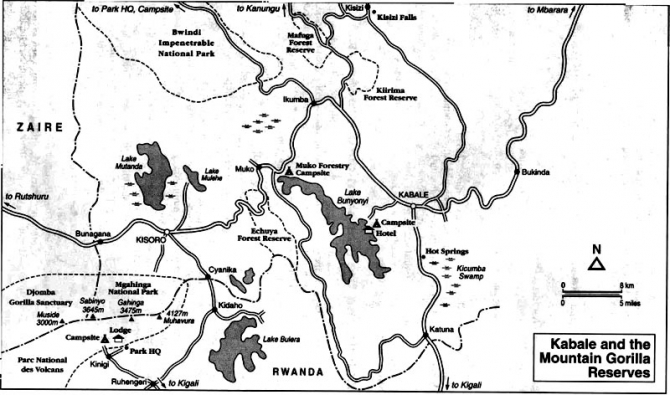 Грёзы об Африке. (Альпинизм, лунные горы.маргерит, спик, африка, рувензори)