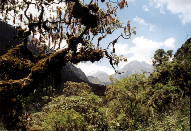 Грёзы об Африке. (Альпинизм, лунные горы.маргерит, спик, африка, рувензори)