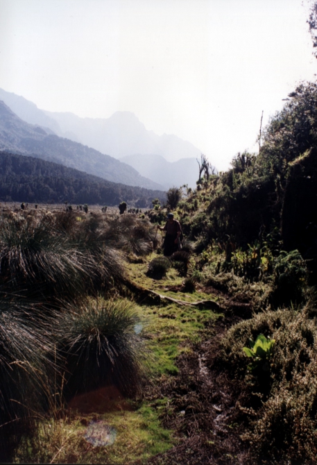 Грёзы об Африке. (Альпинизм, лунные горы.маргерит, спик, африка, рувензори)