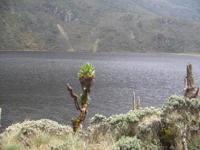 Грёзы об Африке. (Альпинизм, лунные горы.маргерит, спик, африка, рувензори)