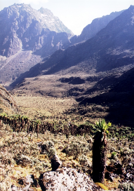 Грёзы об Африке. (Альпинизм, лунные горы.маргерит, спик, африка, рувензори)