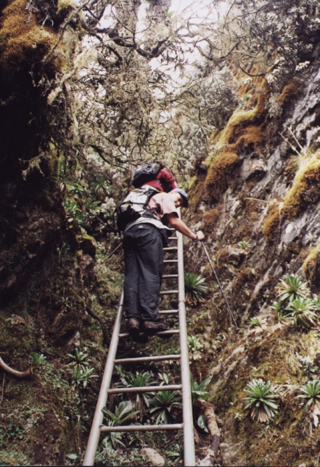 Грёзы об Африке. (Альпинизм, лунные горы.маргерит, спик, африка, рувензори)