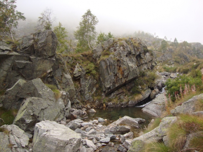Фотоохота в Альпах (Путешествия, отдых, альпы)