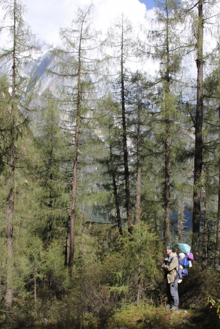 Сычуань - Четыре Сестры (Путешествия, siguniang shan, сигуниан, треккинг, китай, альпинизм)