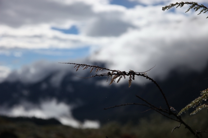 Экспедиция в Китай,массив Минья Конка, провинция Сычуань (фотоотчет) - часть2 (Альпинизм)