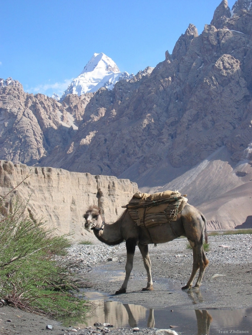 Странички истории. Проблема долины Шаксгам. (Альпинизм, каракорум, мэйсон, громбчевский, янгхазбенд, долина шаксгама)