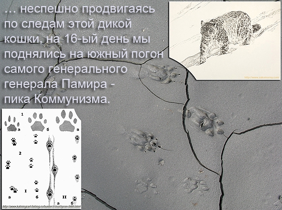 Траверс пика Коммунизма или По следам Снежного Барса (Альпинизм, п.коммунизма)