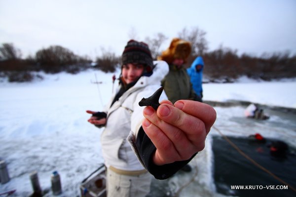 Вперед, в прошлое! Или дайв-экспедиция на 32 миллиона лет назад.... (Вода, зима, экстрим, дайвинг, тюмень, археология, курган, погружения, подледная нырялка, акулы)