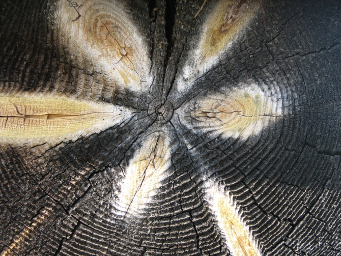 Байкал, Ольхон 2006 или Как показать иностранцу Россию.