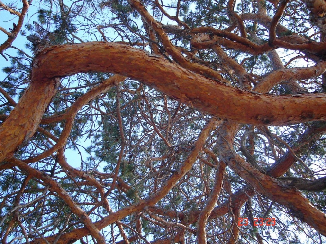 Байкал, Ольхон 2006 или Как показать иностранцу Россию.