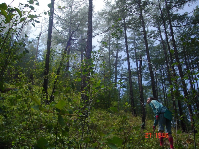 Байкал, Ольхон 2006 или Как показать иностранцу Россию.