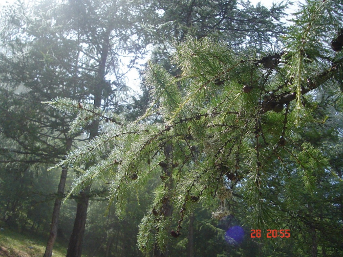 Байкал, Ольхон 2006 или Как показать иностранцу Россию.