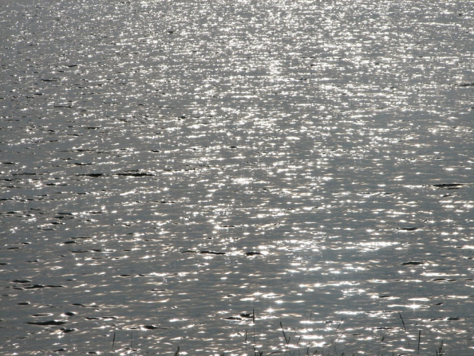 Байкал, Ольхон 2006 или Как показать иностранцу Россию.