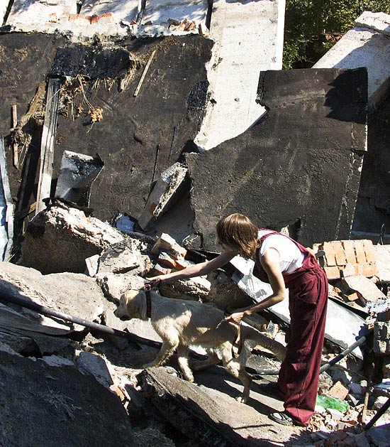 О лавинной подготовке собак. (лавины, спасатели, собаки)