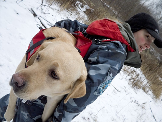 О лавинной подготовке собак. (лавины, спасатели, собаки)