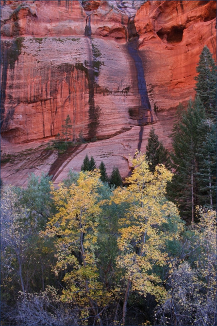 Северная Америка. Поездка без цели.