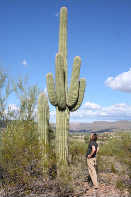 Северная Америка. Поездка без цели.