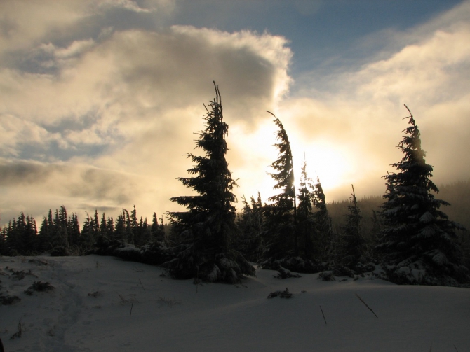 Украинские Карпаты. Гора Говерла.