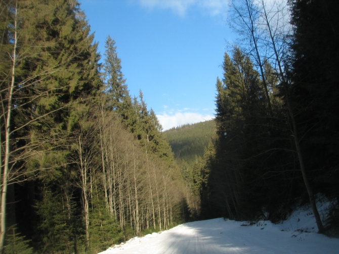 Украинские Карпаты. Гора Говерла.