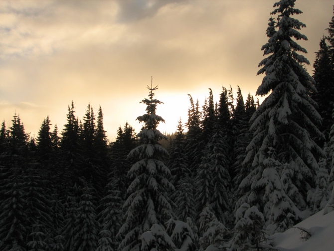 Украинские Карпаты. Гора Говерла.