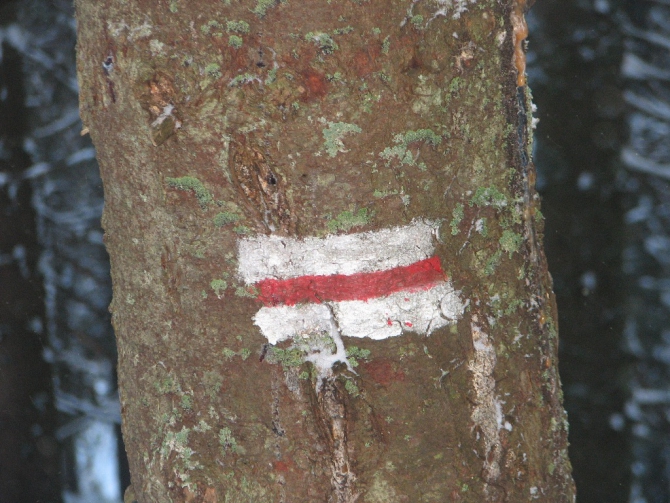 Украинские Карпаты. Гора Говерла.