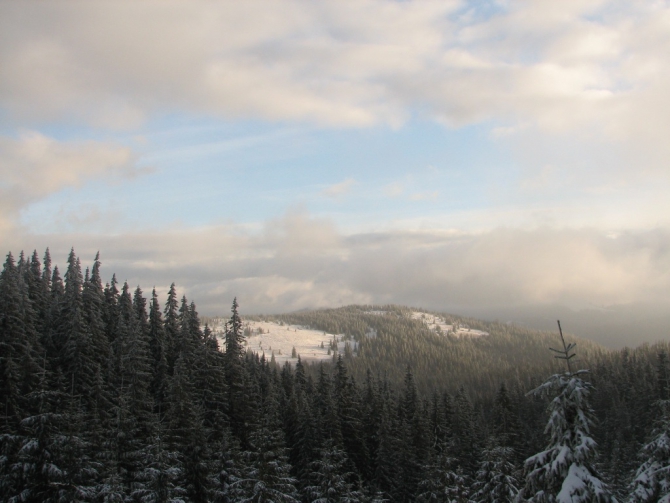 Украинские Карпаты. Гора Говерла.