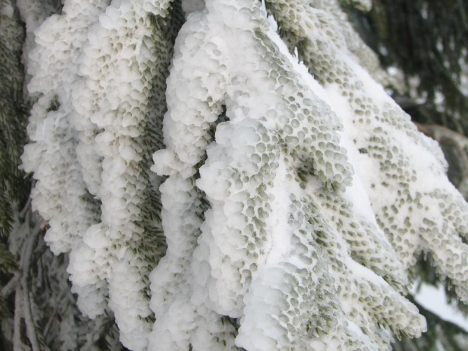 Украинские Карпаты. Гора Говерла.