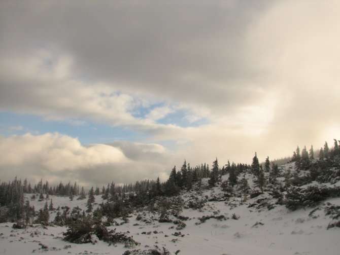 Украинские Карпаты. Гора Говерла.