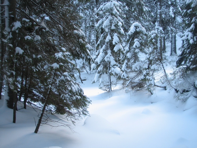 Украинские Карпаты. Гора Говерла.