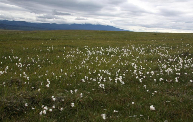 Гренландия для бедных, или причудливые лики исландского альпинизма. (2, исландия)