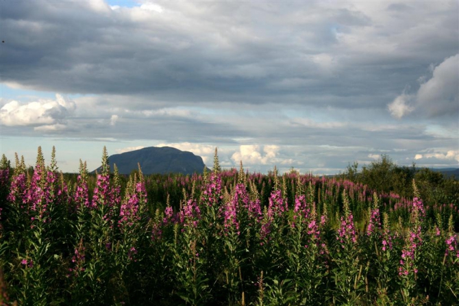 Гренландия для бедных, или причудливые лики исландского альпинизма. (2, исландия)