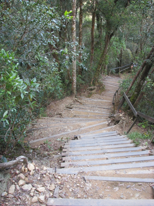 Команда "SALOMON RUSSIA" на гонке Mount Kinabalu International Climbathon! (Скайраннинг, skyrunning, skyrace)