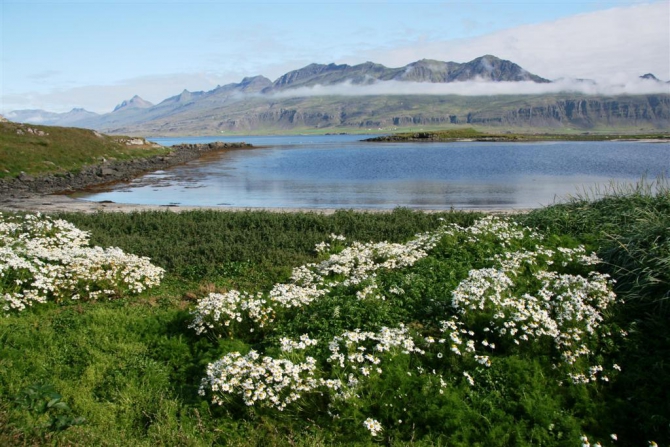 Гренландия для бедных, или причудливые лики исландского альпинизма.(5, исландия)