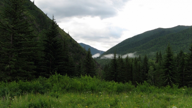 Воспоминания о походе-экспедиции по Катунской Подкове Алтая с 18.07 по 07.08.2010. (Альпинизм, алтай, белуха, эдельвейс)