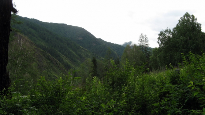 Воспоминания о походе-экспедиции по Катунской Подкове Алтая с 18.07 по 07.08.2010. (Альпинизм, алтай, белуха, эдельвейс)