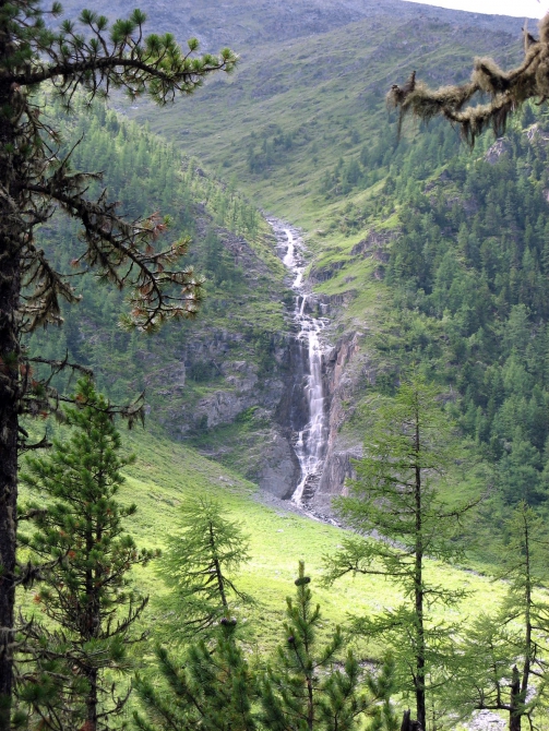 Воспоминания о походе-экспедиции по Катунской Подкове Алтая с 18.07 по 07.08.2010. (Альпинизм, алтай, белуха, эдельвейс)