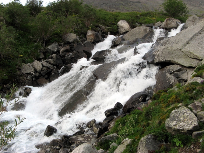 Воспоминания о походе-экспедиции по Катунской Подкове Алтая с 18.07 по 07.08.2010. (Альпинизм, алтай, белуха, эдельвейс)