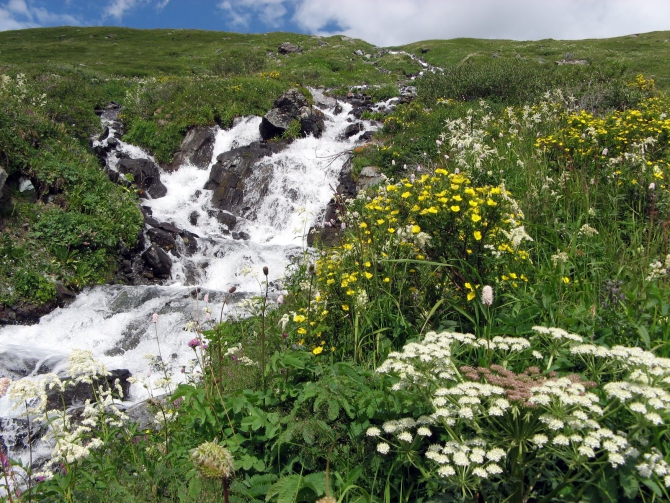 Воспоминания о походе-экспедиции по Катунской Подкове Алтая с 18.07 по 07.08.2010. (Альпинизм, алтай, белуха, эдельвейс)