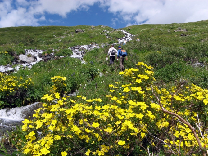 Воспоминания о походе-экспедиции по Катунской Подкове Алтая с 18.07 по 07.08.2010. (Альпинизм, алтай, белуха, эдельвейс)