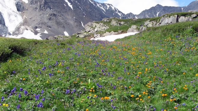 Воспоминания о походе-экспедиции по Катунской Подкове Алтая с 18.07 по 07.08.2010. (Альпинизм, алтай, белуха, эдельвейс)