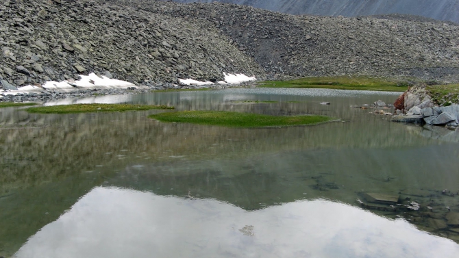 Воспоминания о походе-экспедиции по Катунской Подкове Алтая с 18.07 по 07.08.2010. (Альпинизм, алтай, белуха, эдельвейс)